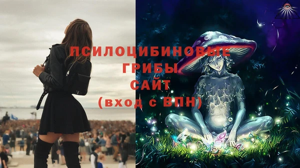 a pvp Аркадак