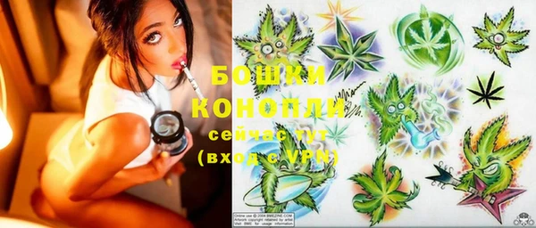 стафф Покачи