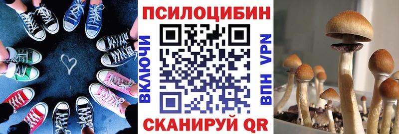 mega ССЫЛКА  Нюрба  Галлюциногенные грибы Magic Shrooms  купить наркотики сайты 