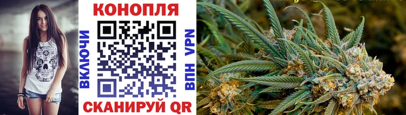Бошки марихуана Ganja где найти Нюрба